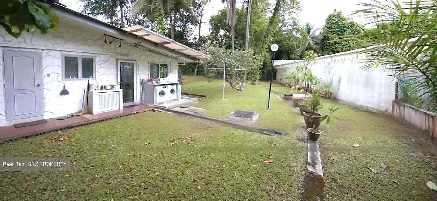 Leedon Park (D10), Detached #476707781